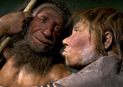 zwei Rekonstruktionen von Neanderthalern, die sich anschauen